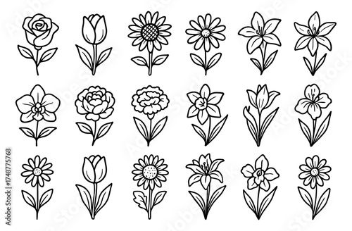 Collection of hand drawn flower outlines featuring roses, tulips, sunflowers, and lilies