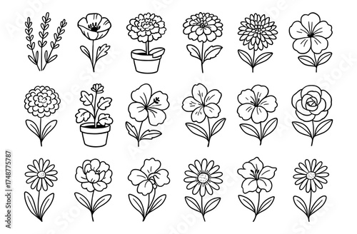 Charming collection of simple floral outlines featuring various blossoms and potted plants