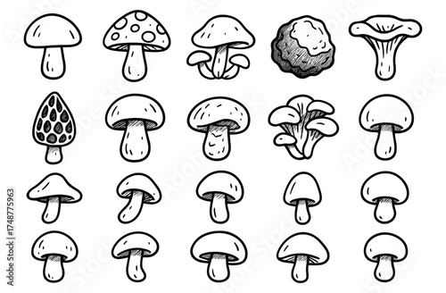 Hand drawn mushroom set with various species and textures in doodle style