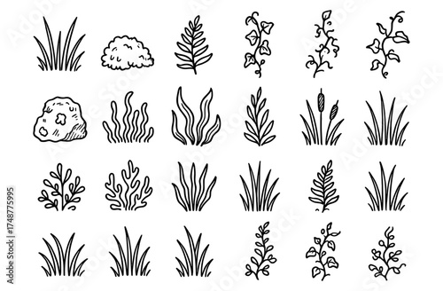 Hand drawn botanical elements collection for nature designs