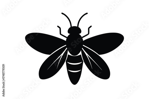 firefly silhouette vector art