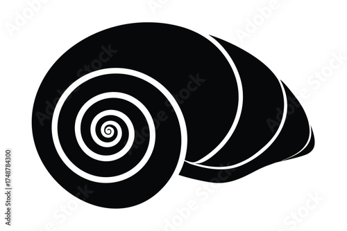 spiral shell silhouette vector art