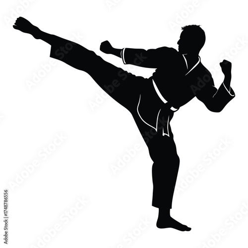 Silhouette of a martial artist performing a dynamic high kick in a dojo