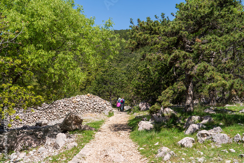 Baška, Croatia - April 20, 2025: Mountain hiking trail in the mountains among the forest.