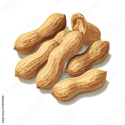 peanuts on a white background