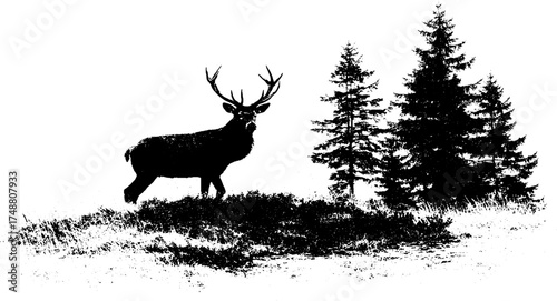 Majestic deer silhouette in forest landscape