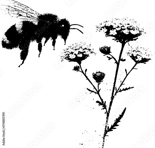 Black and white bee stencil with wildflowers - nature-inspired design for posters and cards