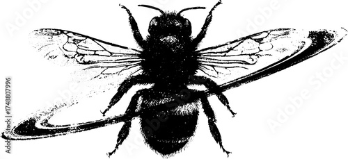 Celestial bee silhouette with planetary rings - unique artistic design for prints