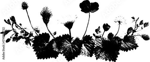 Black and white stencil circular wreath illustration with floral elements for art and design