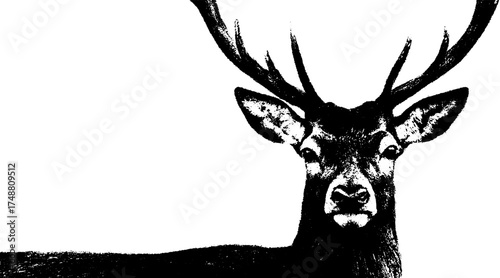 Majestic deer silhouette in black and white stencil art for nature-themed prints