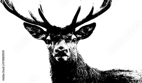 Black and white deer stencil art with wide antlers for rustic decor