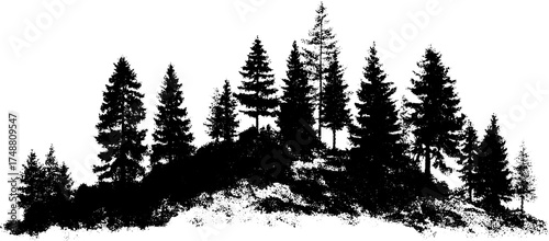 Black and white stencil art of a dense forest silhouette
