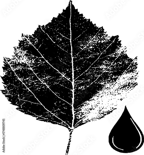 Nature expression: black and white leaf with droplet silhouette for art and design