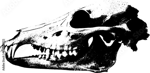 Black and white fox skull silhouette for design and decoration