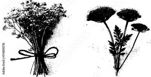 Rustic black and white herb stencil illustration for botanical design projects