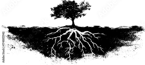 Black and white stencil art of plant with detailed root system