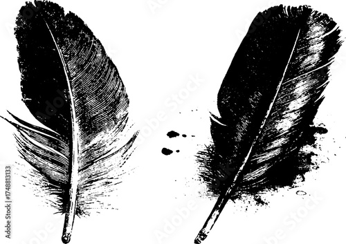 Vintage quill pen silhouette with ink splatter for artistic design