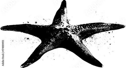 Black and white sea star stencil art with distressed texture for nautical designs