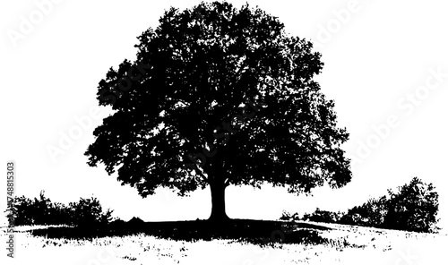 Black and white stencil art of solitary tree for design and decoration