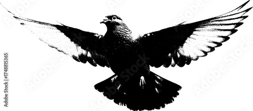 Black and white spiral bird silhouette - boho tribal art design for creative projects