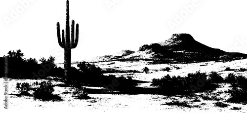 Desert landscape with tall cactus silhouette and mountain scenery in black and white