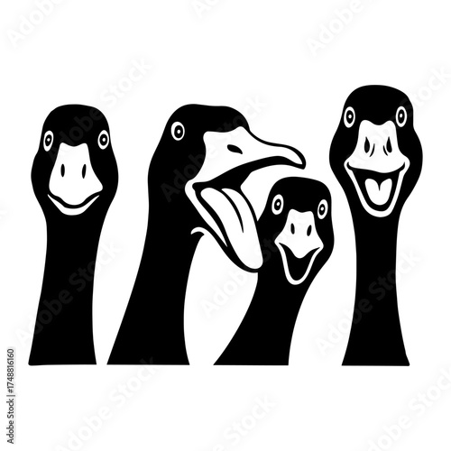 Black and white vector illustration of four funny geese heads with expressive faces. Minimalist clean line art style.