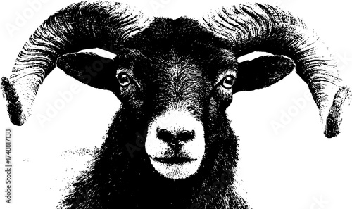 Aries zodiac symbol stencil art design for posters and cards