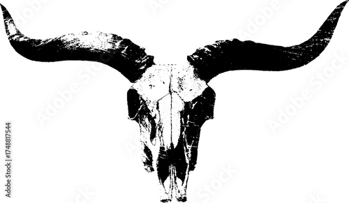 Black and white antelope skull stencil art for rustic and tribal decor