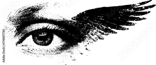 Winged eye silhouette stencil art with grunge texture for print design