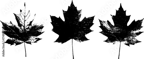 Artistic black and white leaf silhouette design for print and décor