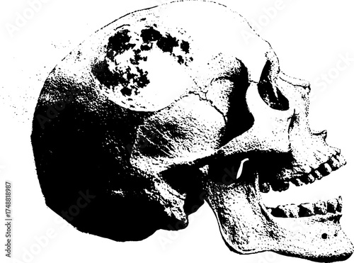 Black and white stencil skull with celestial moon reflection design for artistic projects