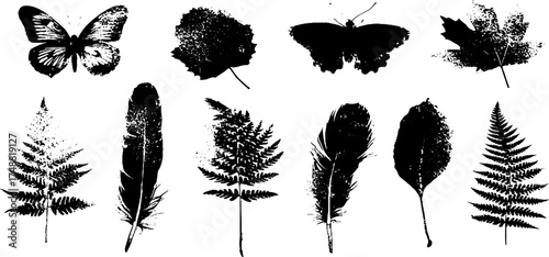 Black and white stencil set of nature leaves and butterflies for art and design projects