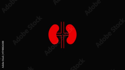 Wallpaper Mural Red Stylized Kidney Icon with Cross Symbol on Black Background kidneys red kidney Torontodigital.ca