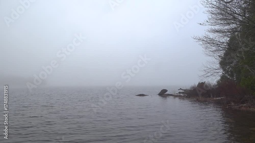 A tranquil lake scene where fog hushes the horizon, with a rocky shoreline and bare trees on the right. Gentle ripples and muted tones convey calm, reflective mood for nature or travel projects.