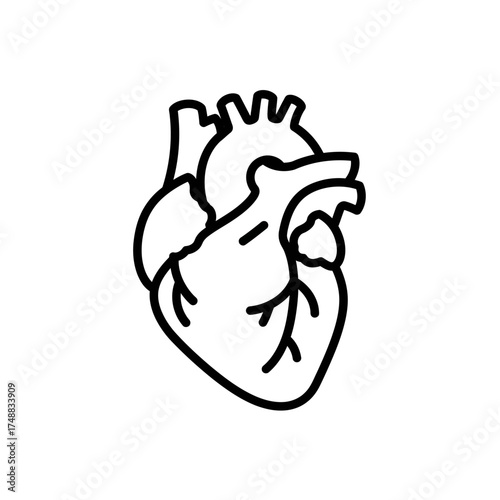 Anatomical heart line art illustration in black and white.