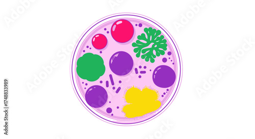 Stylized vector illustration of a petri dish with colorful bacterial colonies growing, representing microbiology research and scientific experiments
