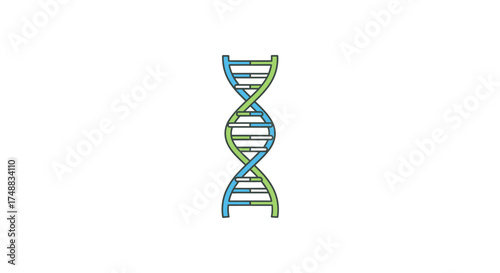 Illustration of a double helix DNA strand structure, rendered in blue and green on a white background.