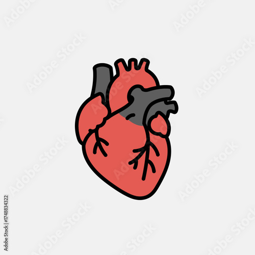Illustration of a human heart with red and gray colors on a light background.