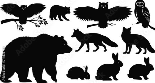 Forest animal silhouettes, woodland wildlife, bear, fox, owl, rabbit, nature clipart, black vector, isolated creatures, forest icons, animal shapes
