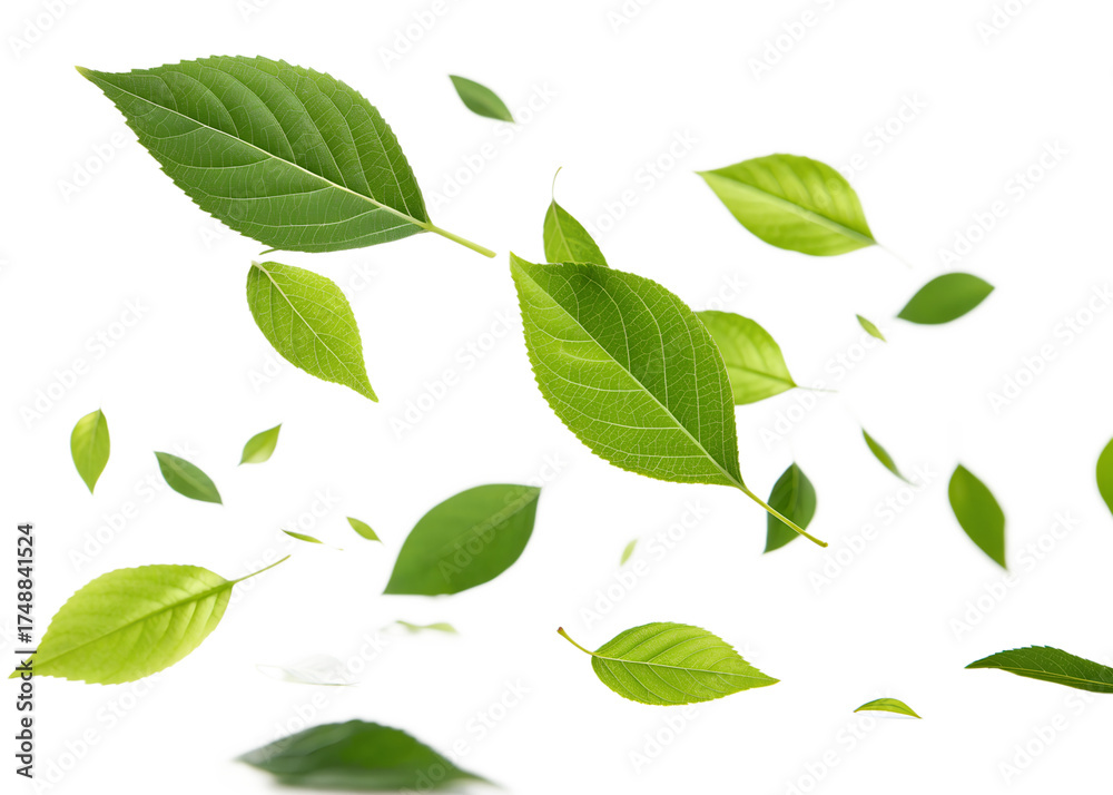 Fototapeta premium Futuristic iridescent 3d metallic numbers 2026 glowing against a stark black background representing the upcoming year