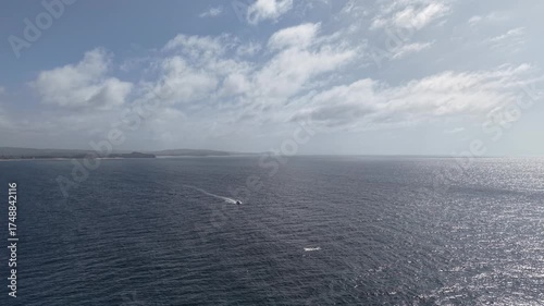 Northern Beaches, NSW, Sydney Suburbs, Australia. Ocean view from above.