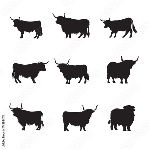 Collection of highland cow silhouettes in black and white isolated on white background