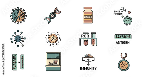 COVID-19 and Immunity: A Visual Representation of the Pandemic.