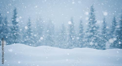 Winter wonderland snow scene with copy space. winter background with a snowflake border and white vignetting. Winter Wonderland. Illustration