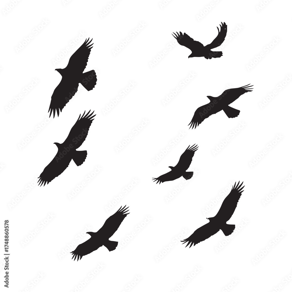 Obraz premium set of silhouettes of birds