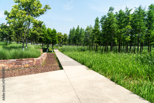 Fotografie The road of City Park in China