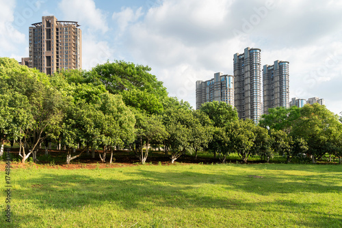 Canvas Print city park with modern building background in shanghai