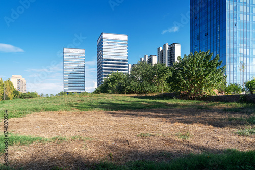 Photography city park with modern building background in shanghai