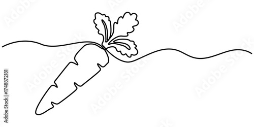 Continuous one line drawing of carrot vegetable. One line drawing vector illustration of carrot plant. Editable outline. 