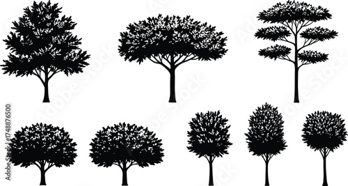  Collection of detailed tree silhouette vector illustrations, natural forest elements for landscape design, nature art, environment graphics, botanical shapes, and eco decoration